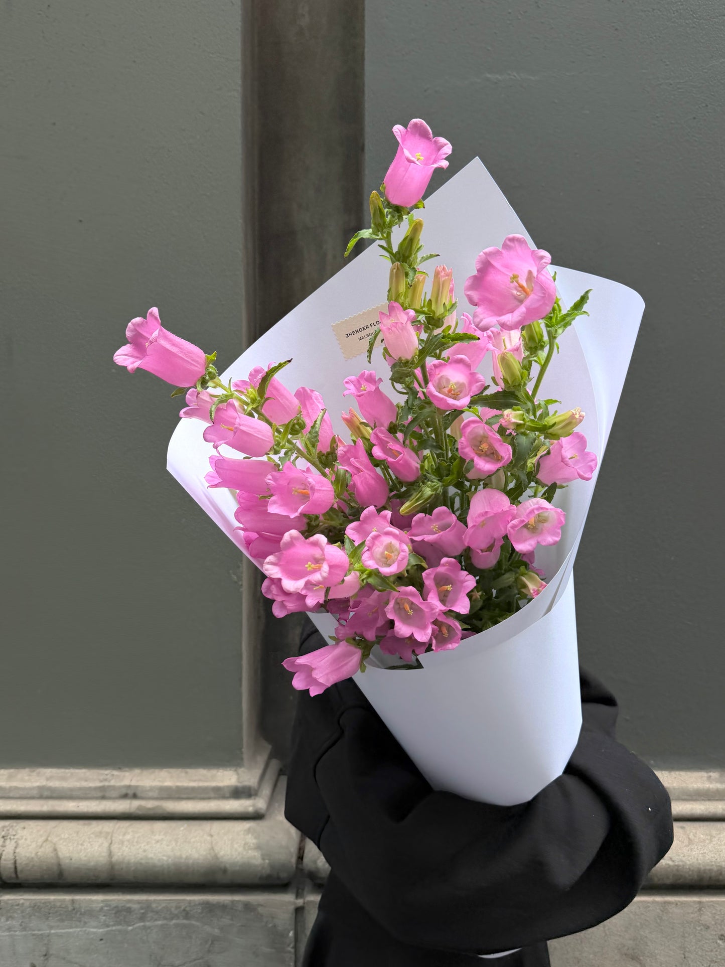 0v0 Canterbury bells