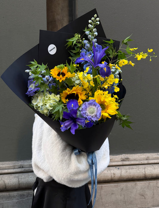 0v0 Sea & Sun Symphony 🎓