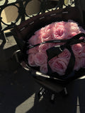 Roses with a sweet scent (pink o’hara)