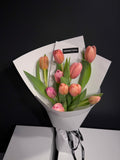 Tulip Tulip (Peach Glow