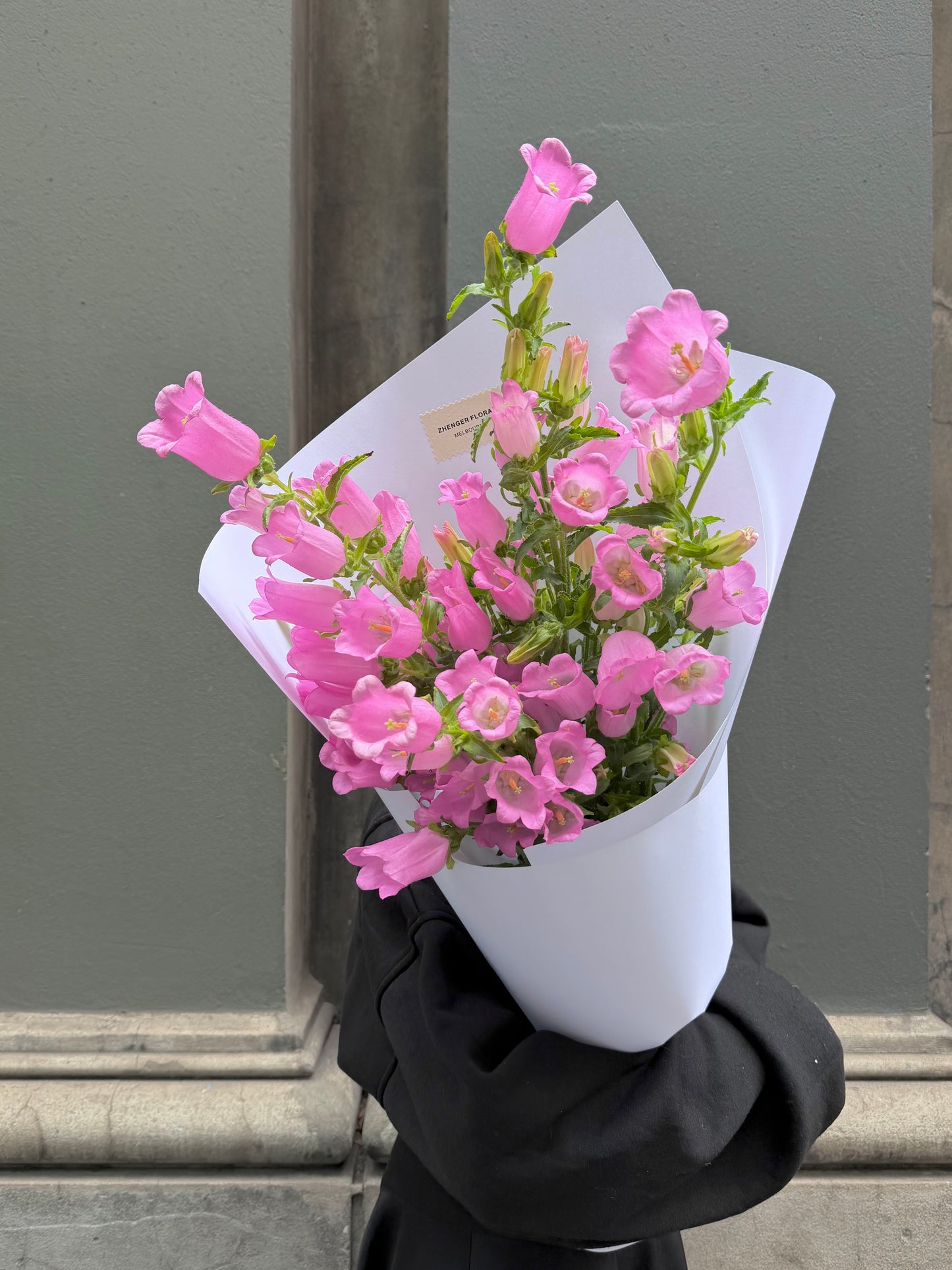 0v0 Canterbury bells