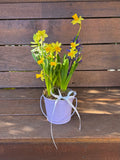 Mini Garden Hug