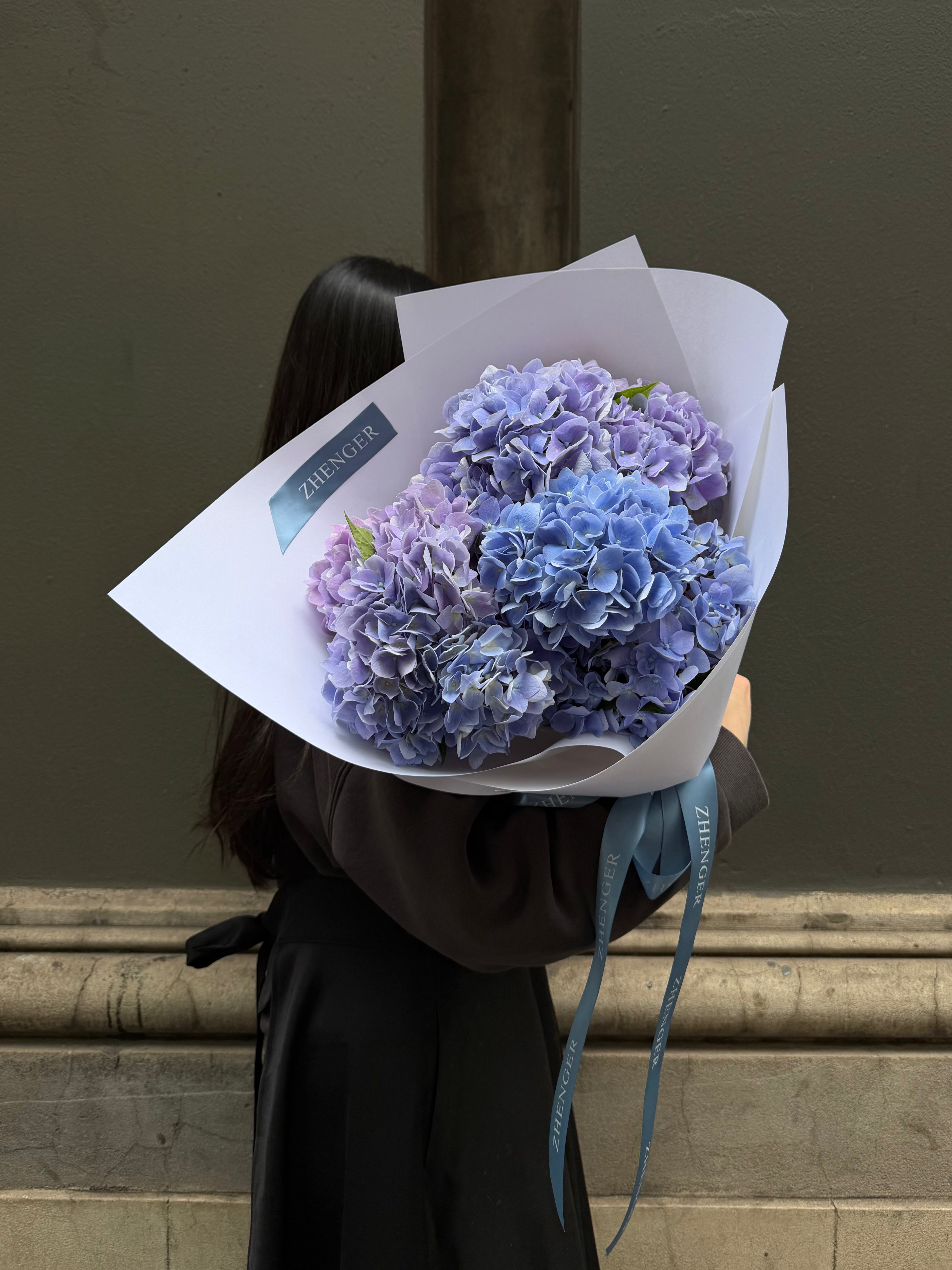 0v0 Hydrangea
