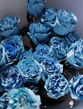 0v0 Blue Roses