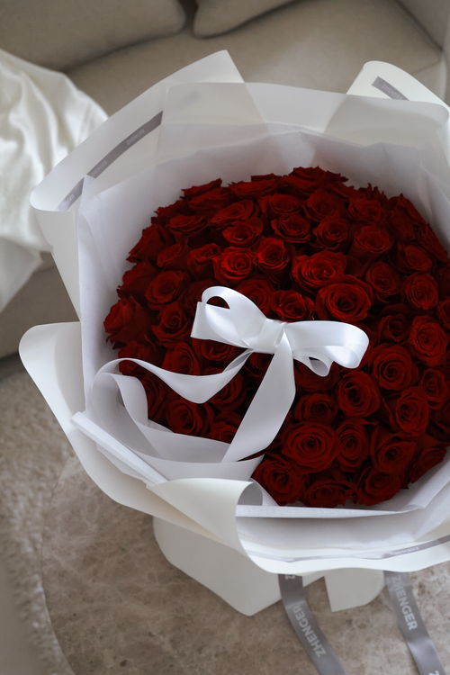 A Script of Love (Red Roses)