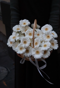 Petite Basket